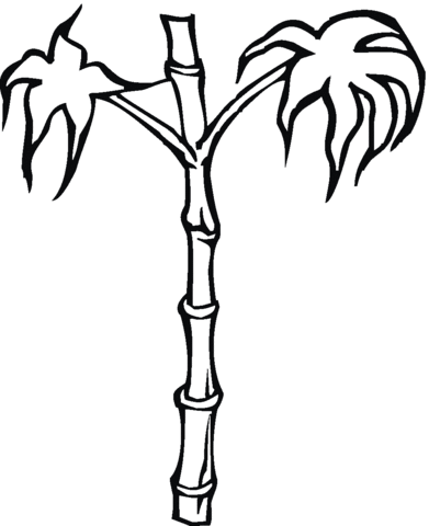 Bamboo  Coloring Page